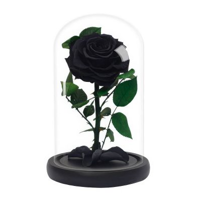 Роза в колбе черная